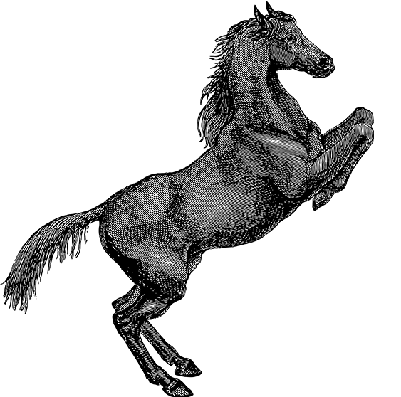 问鼎娱乐APP